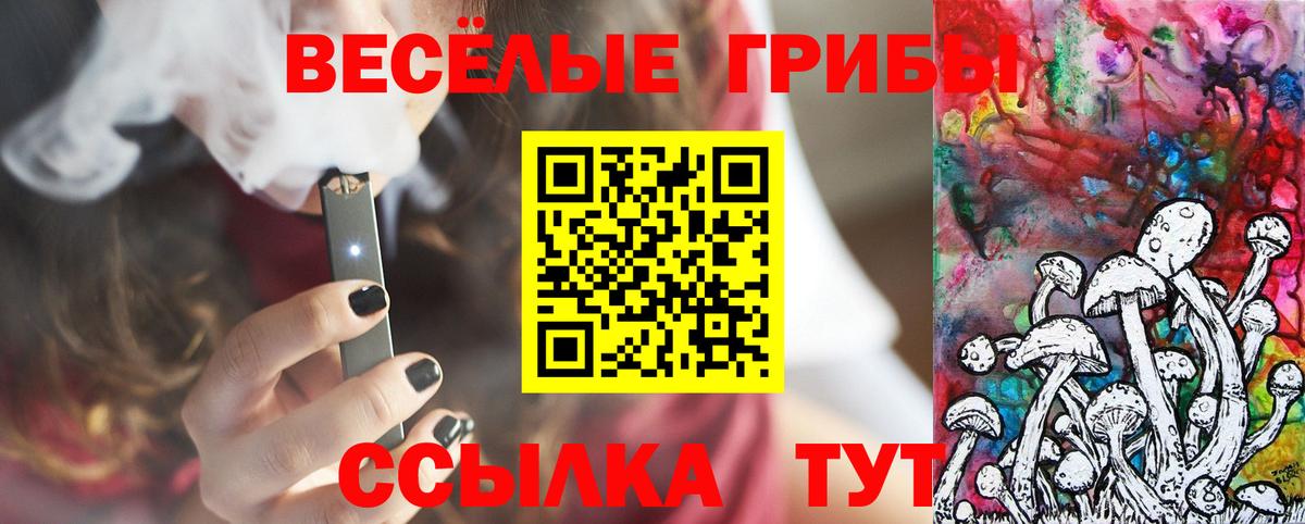 Псилоцибиновые грибы прущие грибы  Псилоцибиновые грибы GOLDEN TEACHER  Кушва  Вход с VPN 